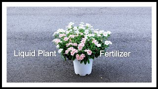 Liquid Plant Fertilizer Enhanced Version┃Lin Gardening Life 01