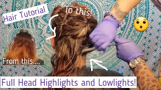 Lowlights and Highlights Hair Tutorial