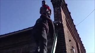 ПРИКОЛЫ. Август 2016. Лучшее видео, THE BEST COUB VIDEO 2016 ПРИКОЛЫ. Август 2016. Лучшее видео, THE BEST COUB VIDEO 2016