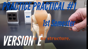 A&P PRACTICE PRACTICAL: 1st Semester Practice Practical #1 Version E