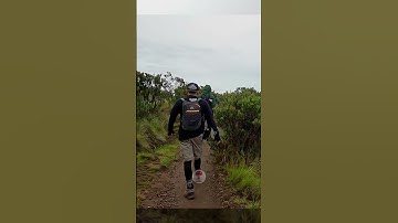 Arah Sabana Pasar Dieng gunung Lawu via Candi Cetho #nesepu #traveling #pendaki #alam