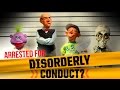 Arrested for Disorderly Conduct?  | JEFF DUNHAM