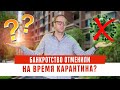 Банкротство отменили на время карантина