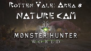 MHW: Rotten Vale Area 8 Nature Cam