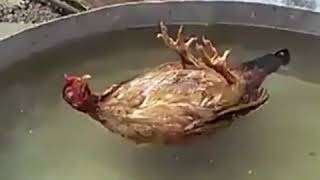 جومي جومي 😂😂