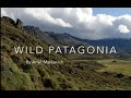Wild patagonia  anyll markevich april 2021