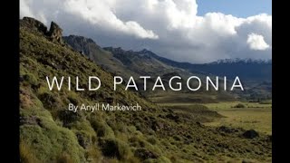 Wild Patagonia - Anyll Markevich April 2021