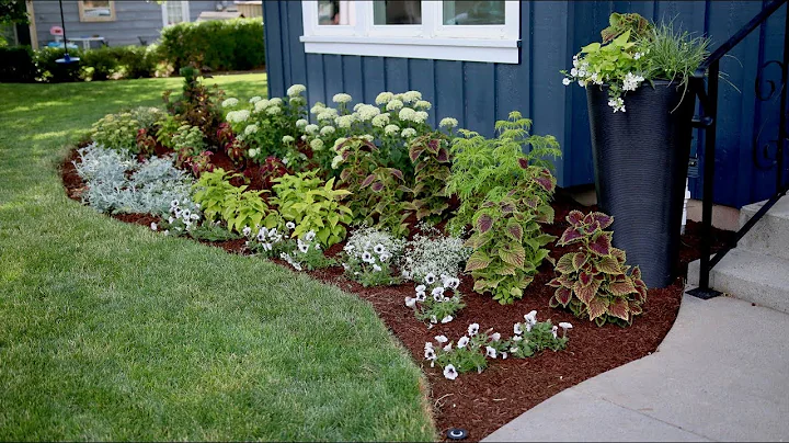 Flowerbed Makeover Start to Finish 🌿🌸 - DayDayNews