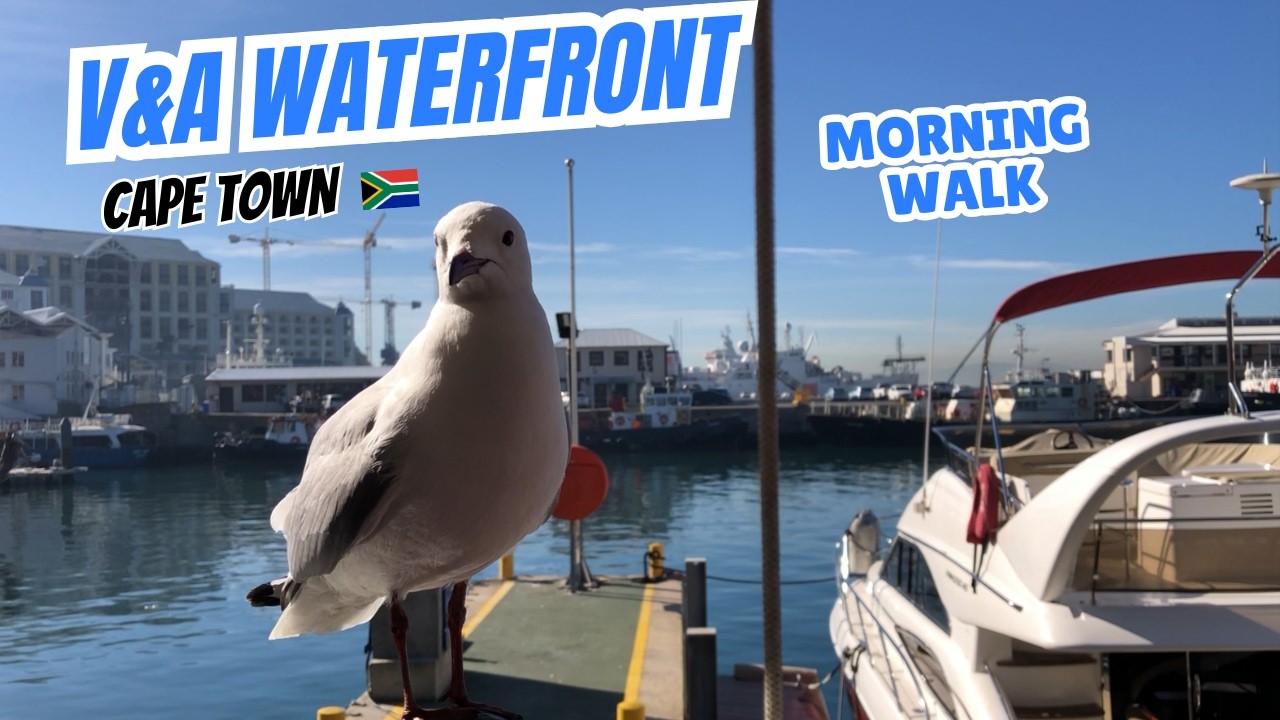 Relaxing Morning Walk at V&A Waterfront Cape Town 🇿🇦 | Boats, Cafés & Local Markets