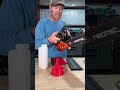 NEOTEC 25cc Chainsaw #neotec #chainsaw #campinggear #tiktokshopsummersale #arborist