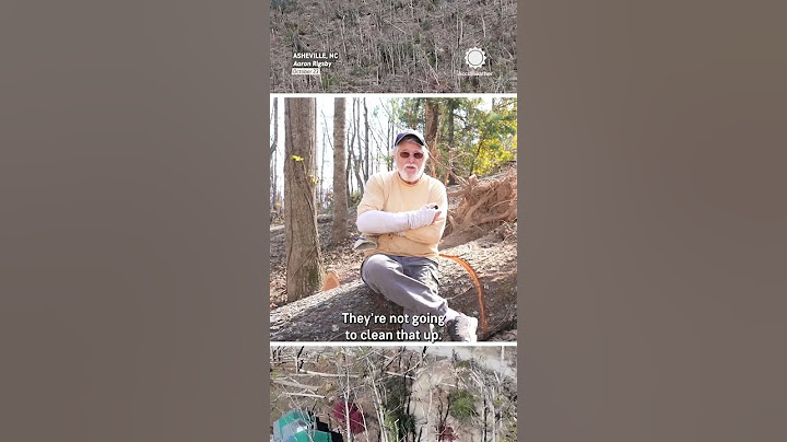 Asheville Hurricane Helene Survivor Describes Tree Damage
