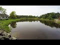 Middle of video