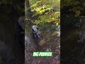 Grayson riding through big puddles 🤣