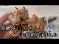 【築地】の毛蟹5日間頑張りました