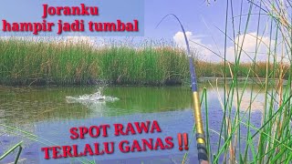 Mancing liaran Sidoarjo // rawa rumput ganggang sarang nila monster // spot mancing liar.