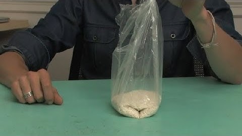 What Can I Do if My iPod Touch Went Through the Washer? : iPod & iPod Touch Tips