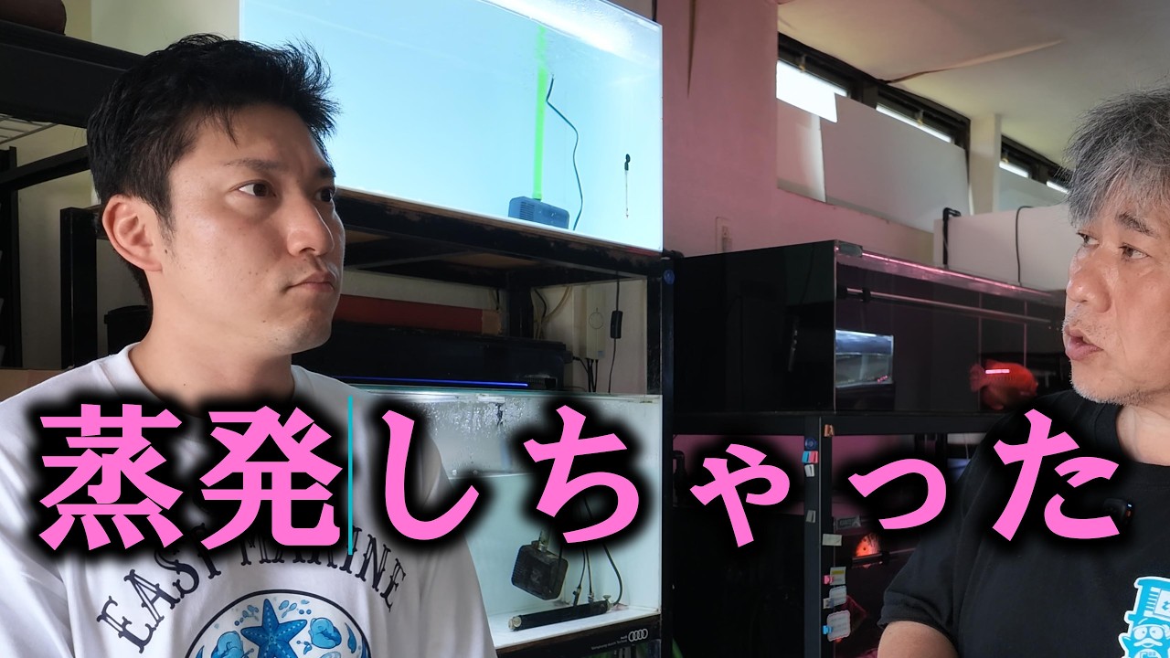 KANTETSU アクリル水槽 本体　取り来てくれる方限定　概要欄読んでください Kantetsu Aquarium] The truth about the acrylic tank and the