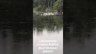 Lokhandwala complex Andheri West Mumbai 400053 #rakeshmishravlogs #dailyvloggers #vairalvideo