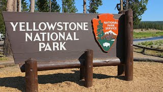 10 Fun Facts About Yellowstone – Scout Life magazine