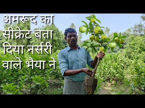 वीडियो: फलों और जामुनों को फ्रीज कैसे करें