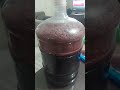 Home made red wine