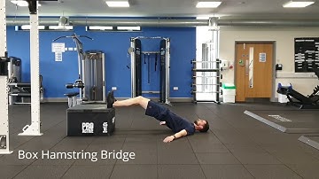 Box Hamstring Bridge