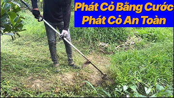 Phát Cỏ Bằng Cước : Máy Phát Cỏ BaLô: @AnhCắtCỏ