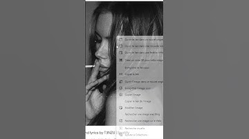 La nouvelle fonction image dans Excel