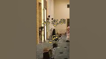 ( فإن حسبك الله) تلاوة جميلة للقارئ : ماجد العقل.