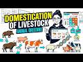 Animal Breeding : Domestication of Livestock