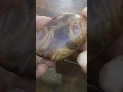 ركز فى الحجر وقول شوفت ايه