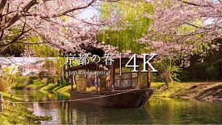 Top 20 Breathtaking Spring Views in Kyoto You Must Visit  JAPAN in 4K