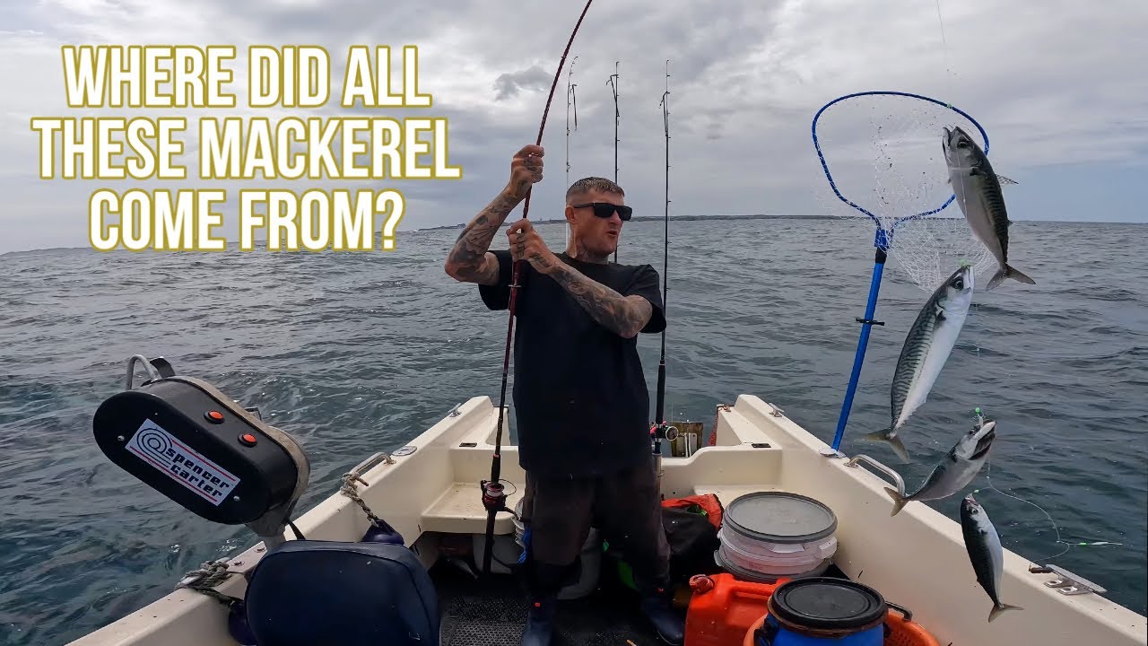 MACKEREL FISHING! Boat Fishing For Mackerel! Where Did All That Fish