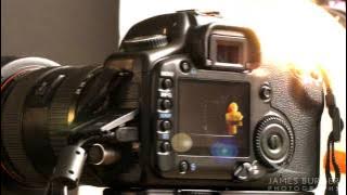 intro-duck-tion: stop-motion with duck - James Burger Photographs