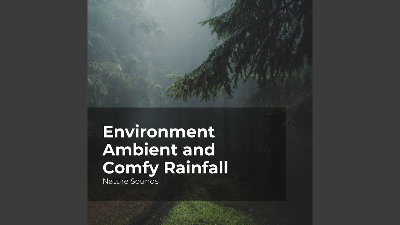 Forest Ambient Melody - YouTube
