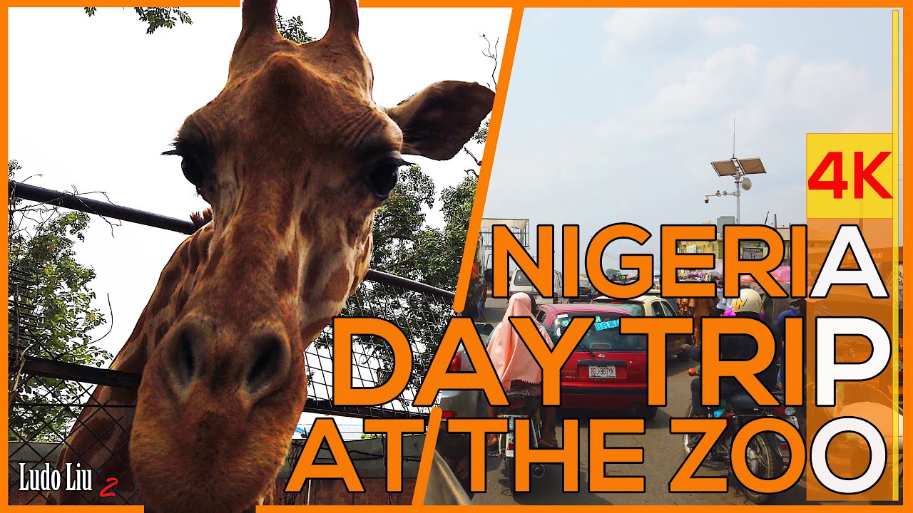 a DAY TRIP at the ZOO in NIGERIA - What does it look like ?