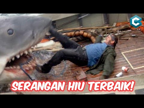 Video: Apakah hiu akan memburu manusia?