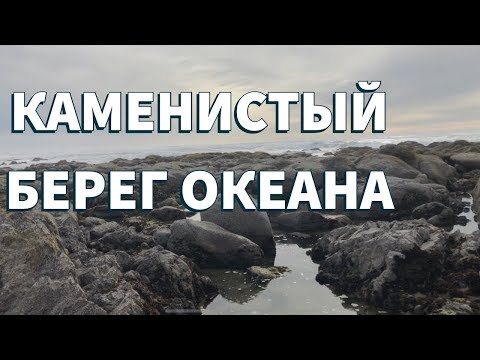 Каменистый Берег Тихого Океана