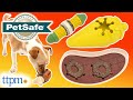 Puppies Review the Busy Buddy and Frosty Cone Toys for Dogs from PetSafe!