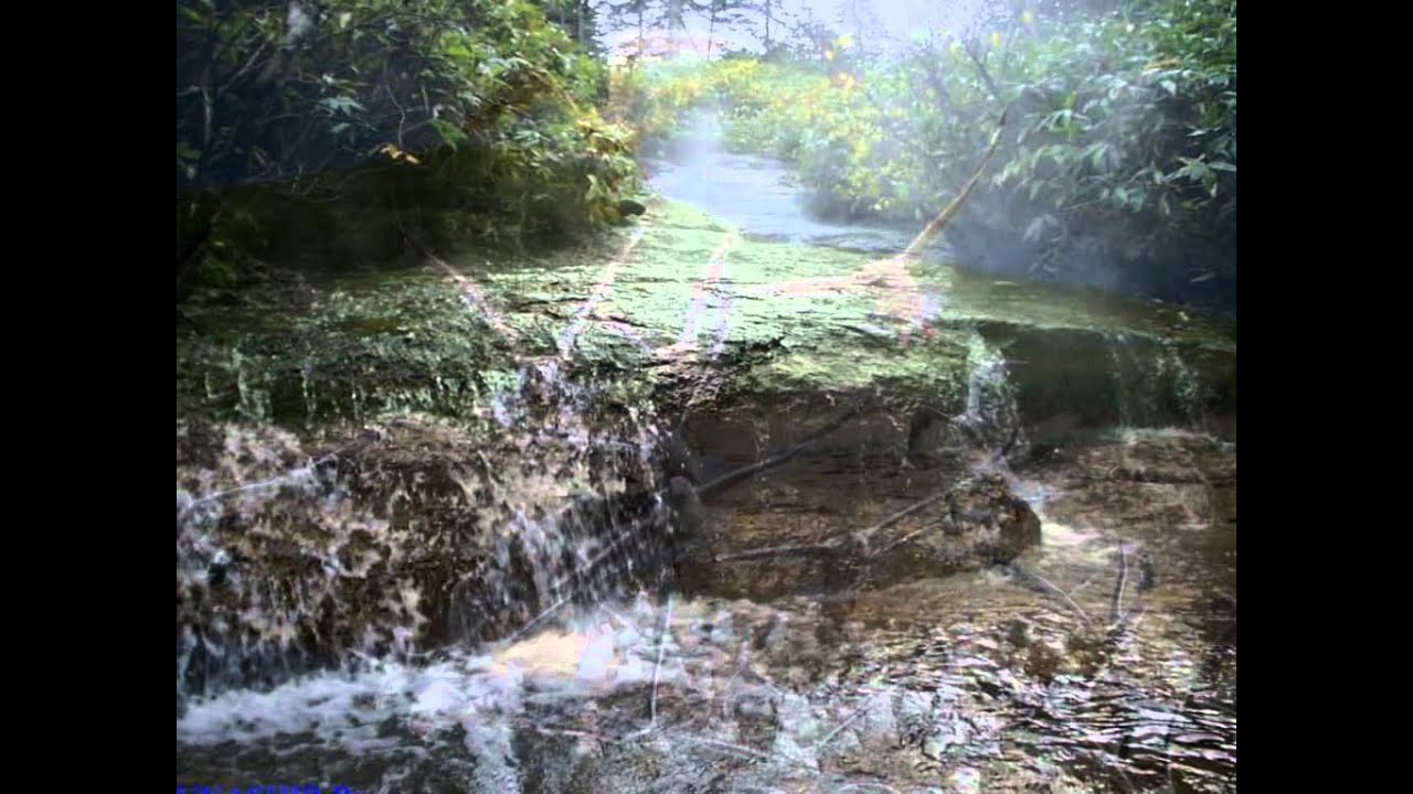 Отдых на Курильских островах.