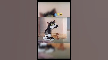 ❤️🐱🐭#TomAndJerry #TrueFriendship #EnemyToBestie #DostiForever #ChildhoodBond #LoveHateFriendship