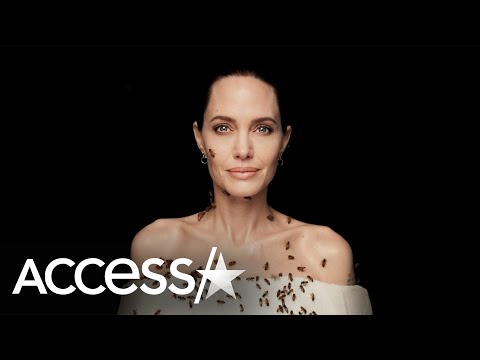 Angelina Jolie Covered In Bees: It ‘Felt Lovely’