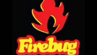 Firebug - Gimme your love