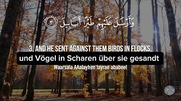 سورة الفيل - Al-Fîl.. مترجمه في الماني  koran mit deutsche Untertitel ￼