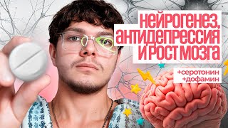 картинка: NSI-189 — нейрогенез, антидепрессия и рост мозга: правда о редком ноотропе
