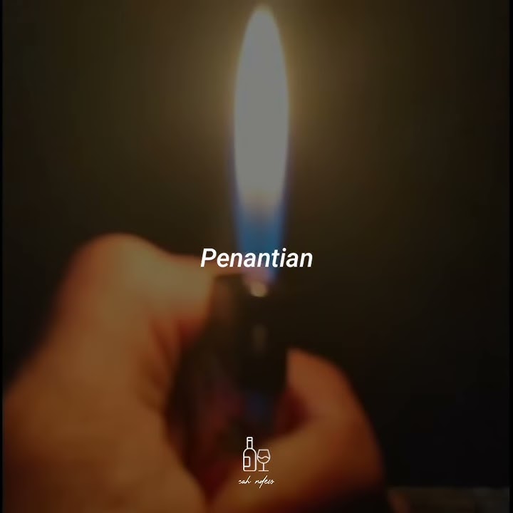 Armada ~ Penantian (cover akustik) || story wa