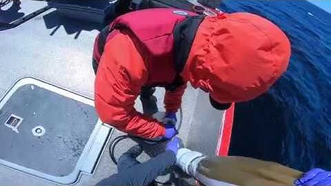 Plankton Net Sampling