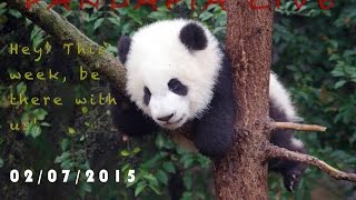 20150207 02