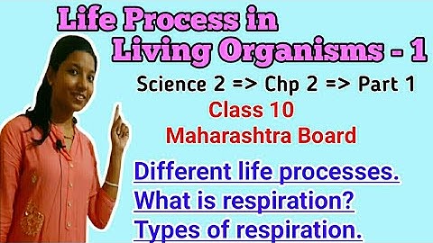 Life Processes in Living Organisms -1 Class 10 SSC (Full Chapter - Part1)