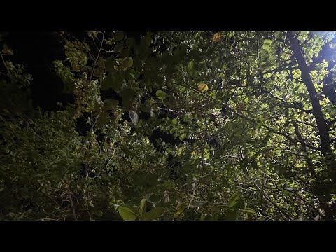        فلوق يومياتي شكرا لاستماعكم